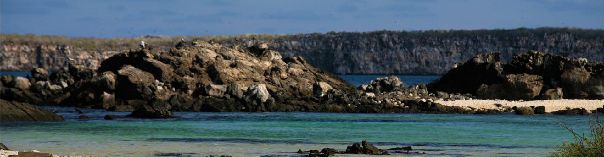 Genovesa Island, Galápagos: The Bird Island